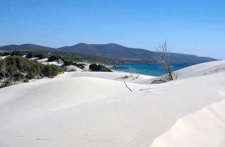 Affittacamere La Medusa Porto Pino Exterior photo