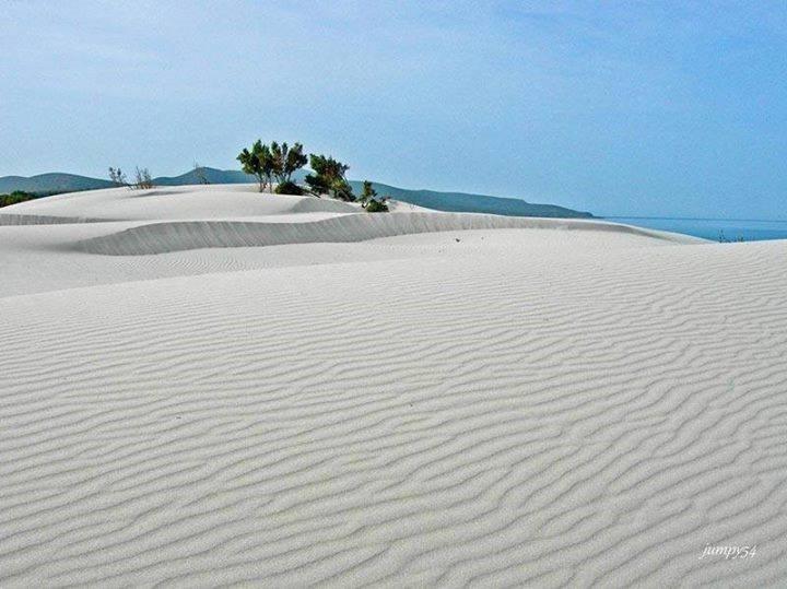 Affittacamere La Medusa Porto Pino Exterior photo